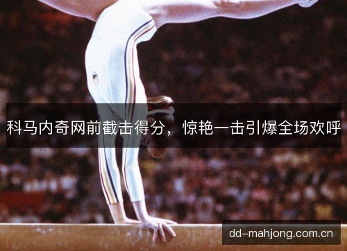 科马内奇网前截击得分,惊艳一击引爆全场欢呼 科马内奇网前截击得分,惊艳一击引爆全场欢呼